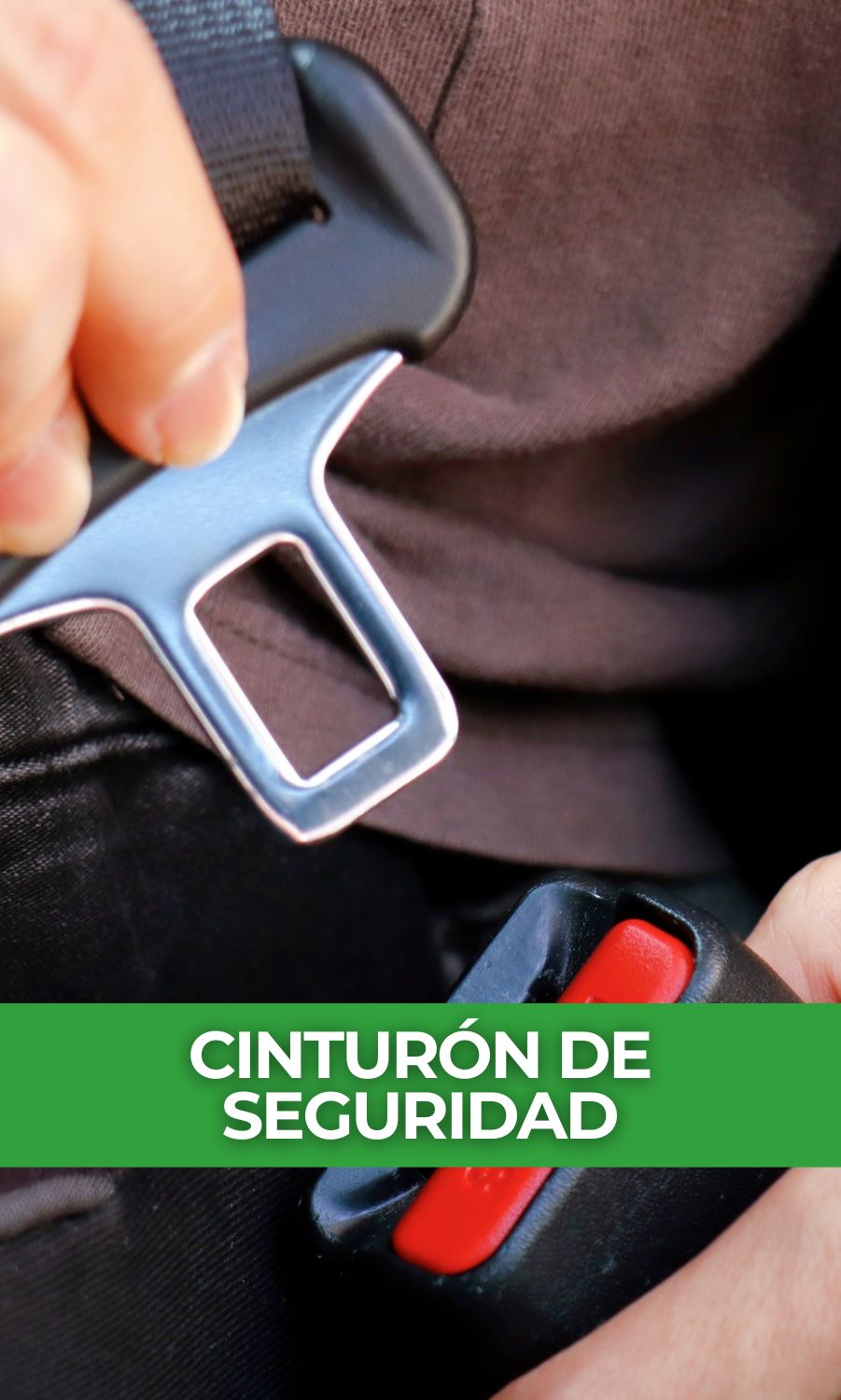 sotramagdalena ´politicadecinturondeseguridad