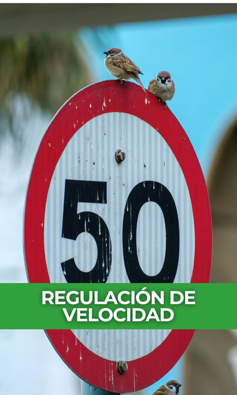regulación de velocidad